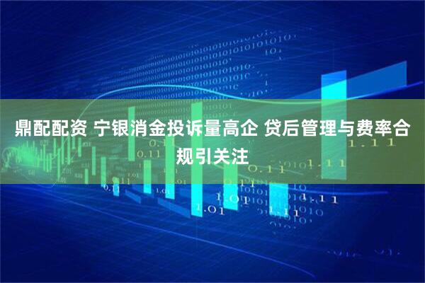 鼎配配资 宁银消金投诉量高企 贷后管理与费率合规引关注
